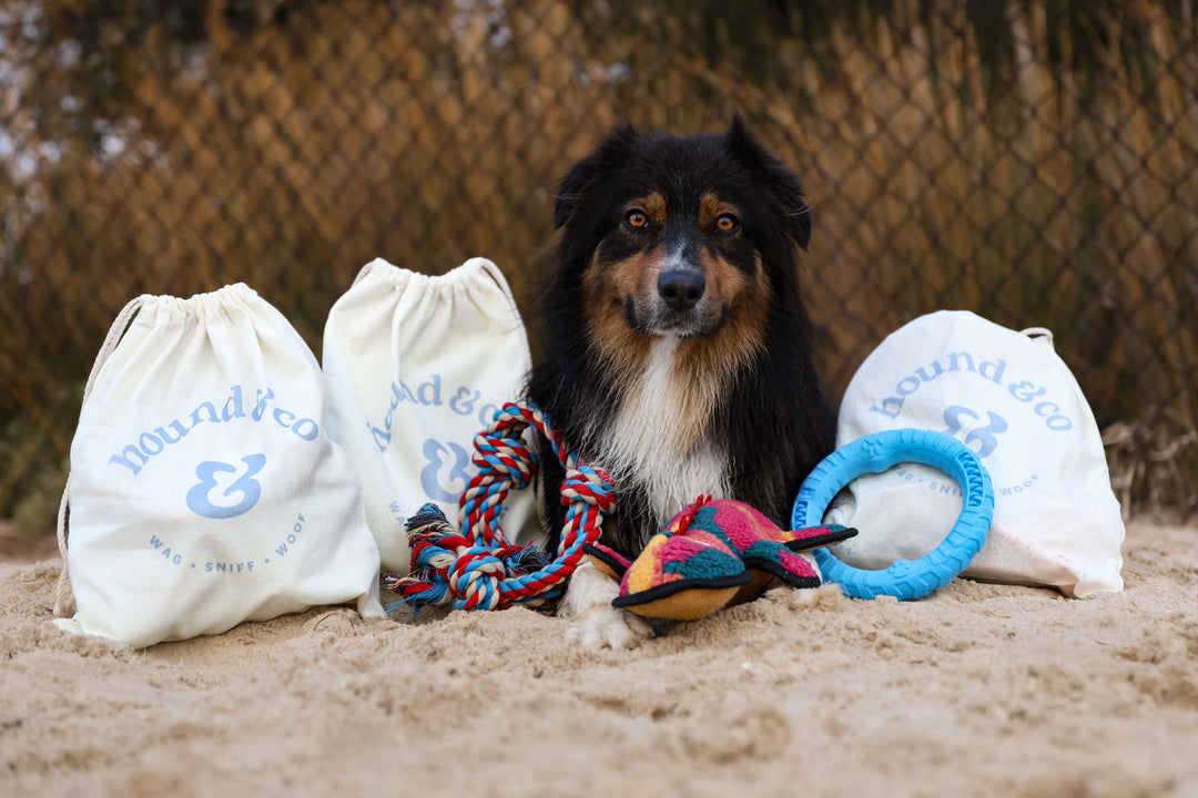 Bundles
