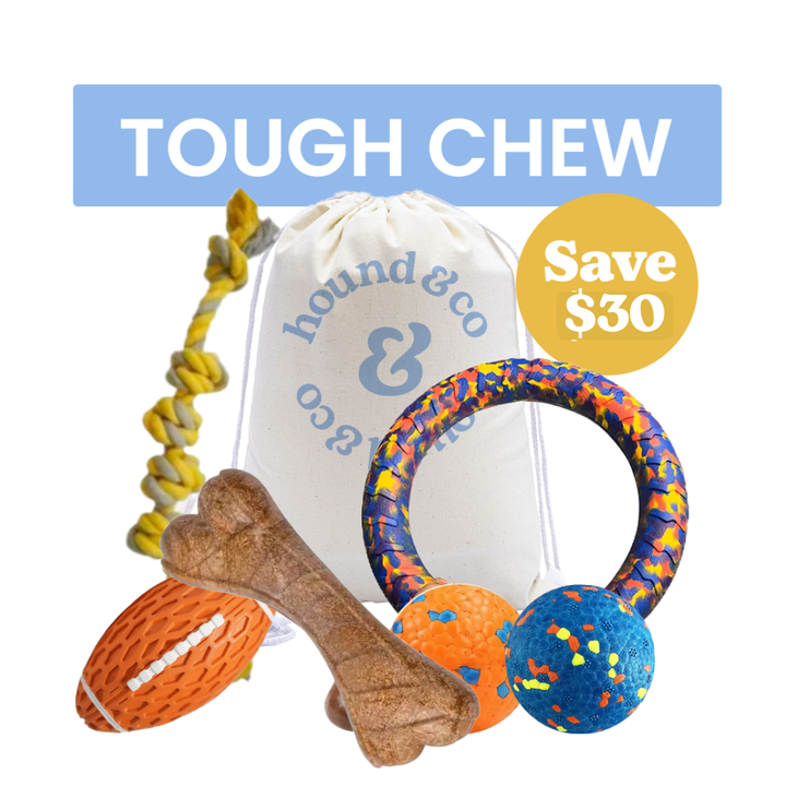 Tough Chewer Dog Bundle