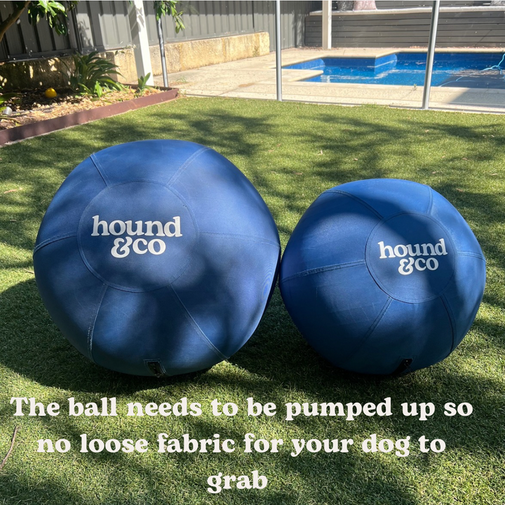 Herding Ball - (large pre order only - due 14th Feb)