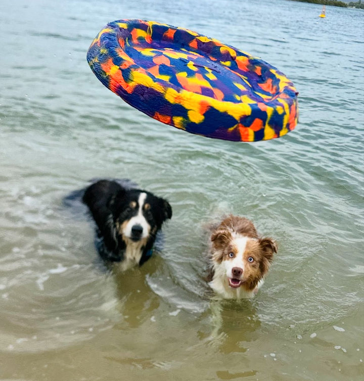 Camo Frisbee