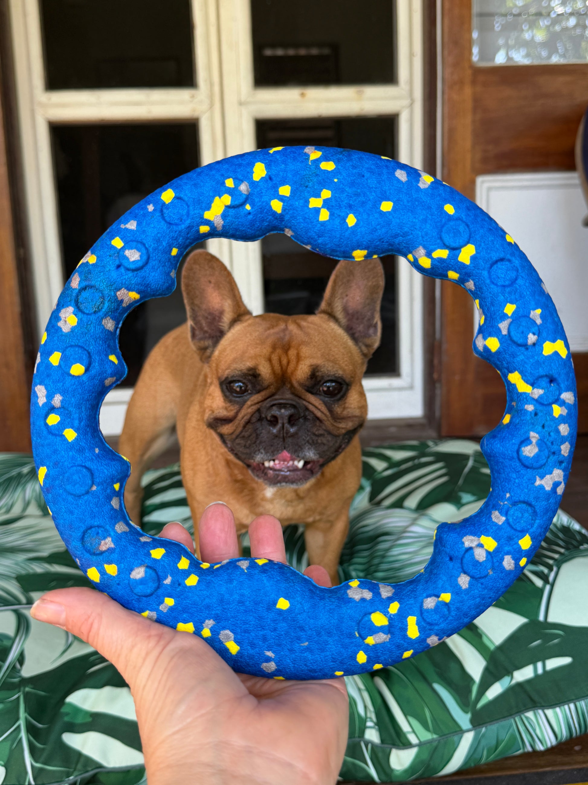Astro Ring- Frenchie Approved