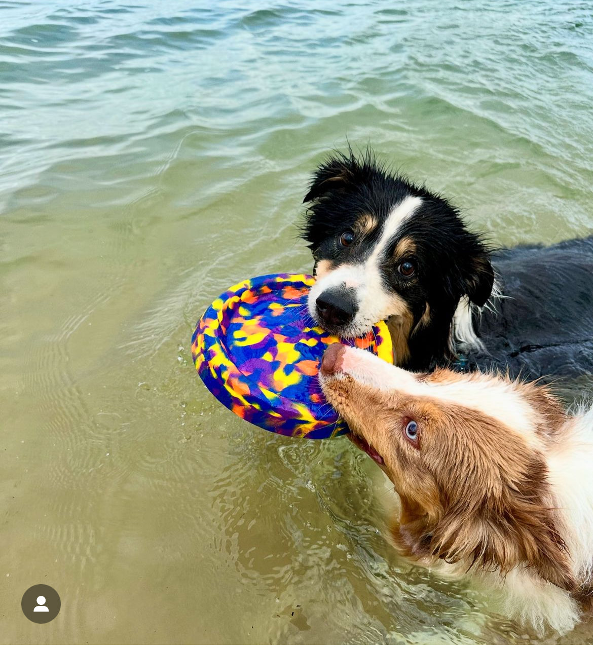 Fetch Bundle