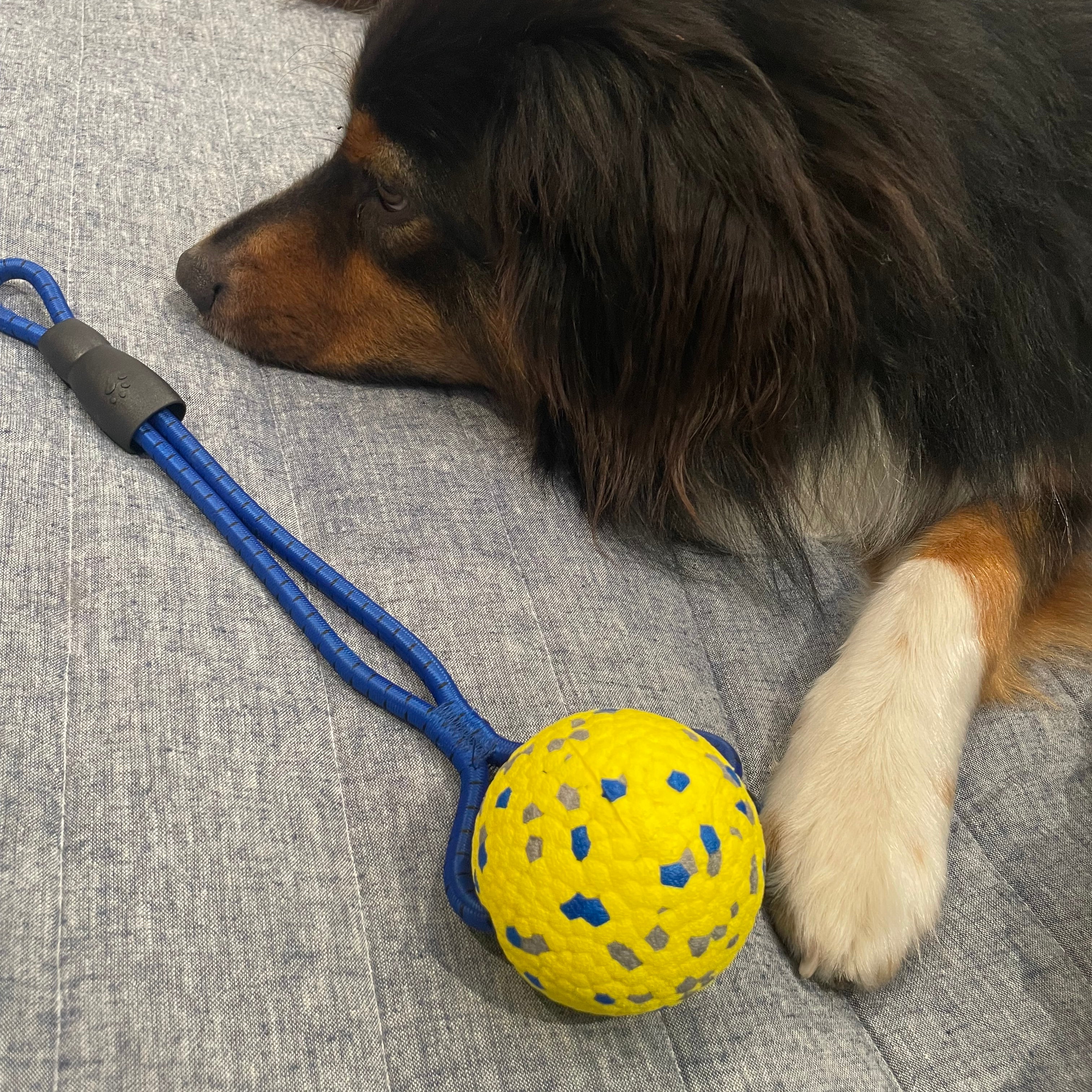 Astro Rope Ball