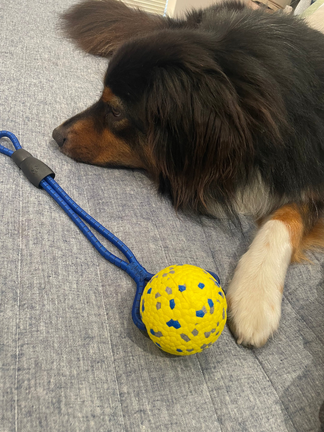Astro Rope Ball