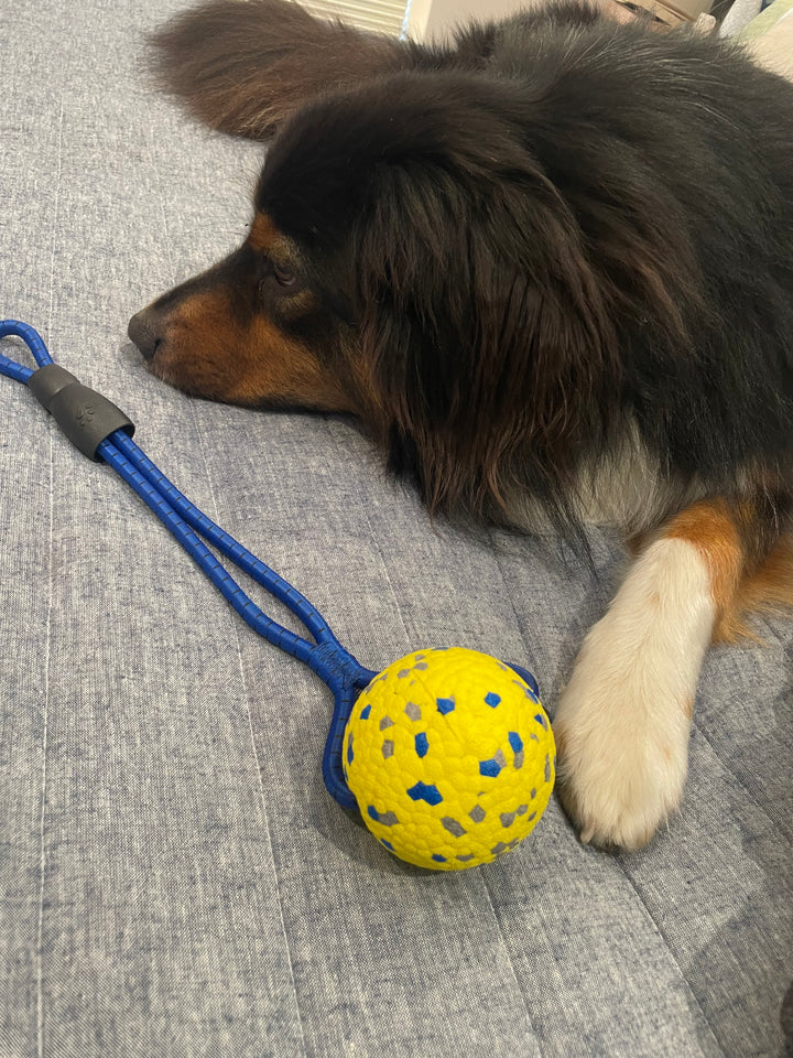 Astro Rope Ball