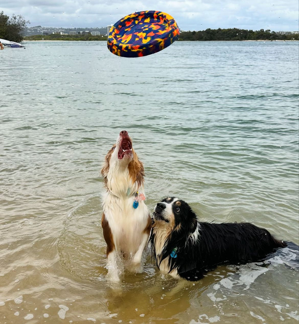 Fetch Bundle