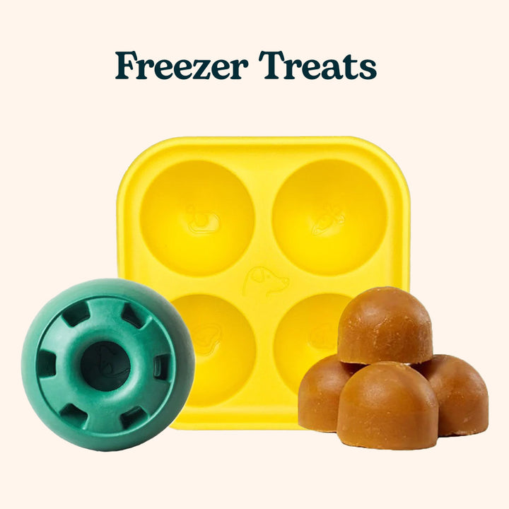 Pupsicle Frozen Treat Mould & Ball