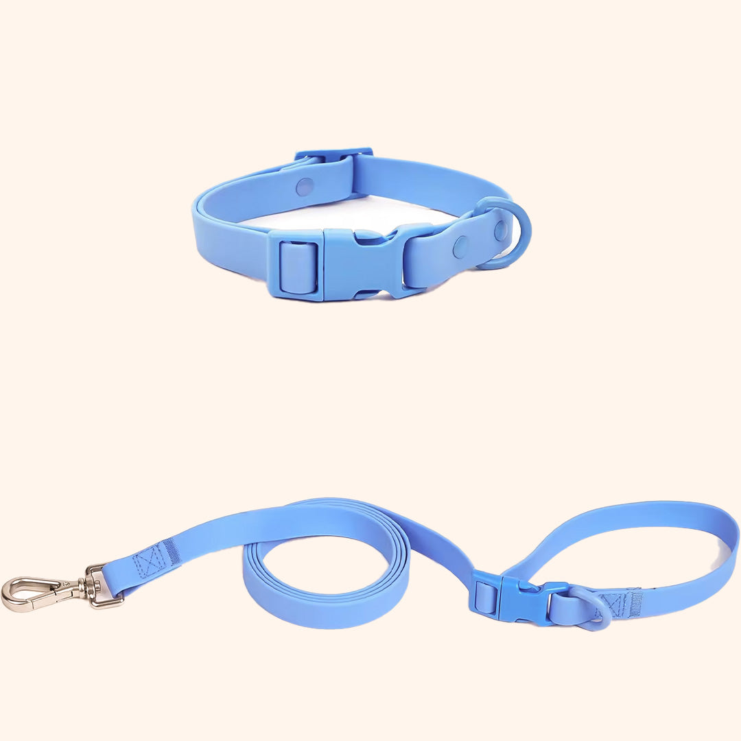 Waterproof Dog Collar & Leash - Medium