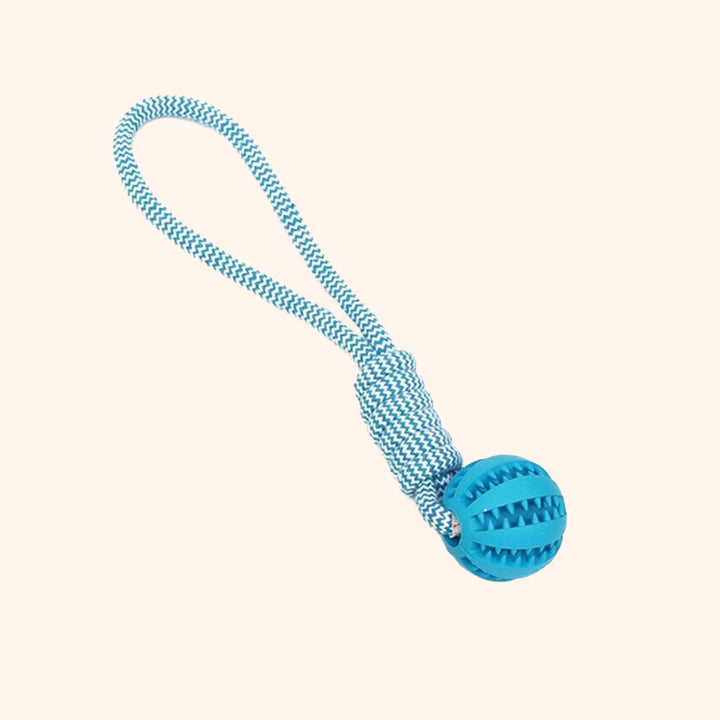 Treat Rope Ball Tugger