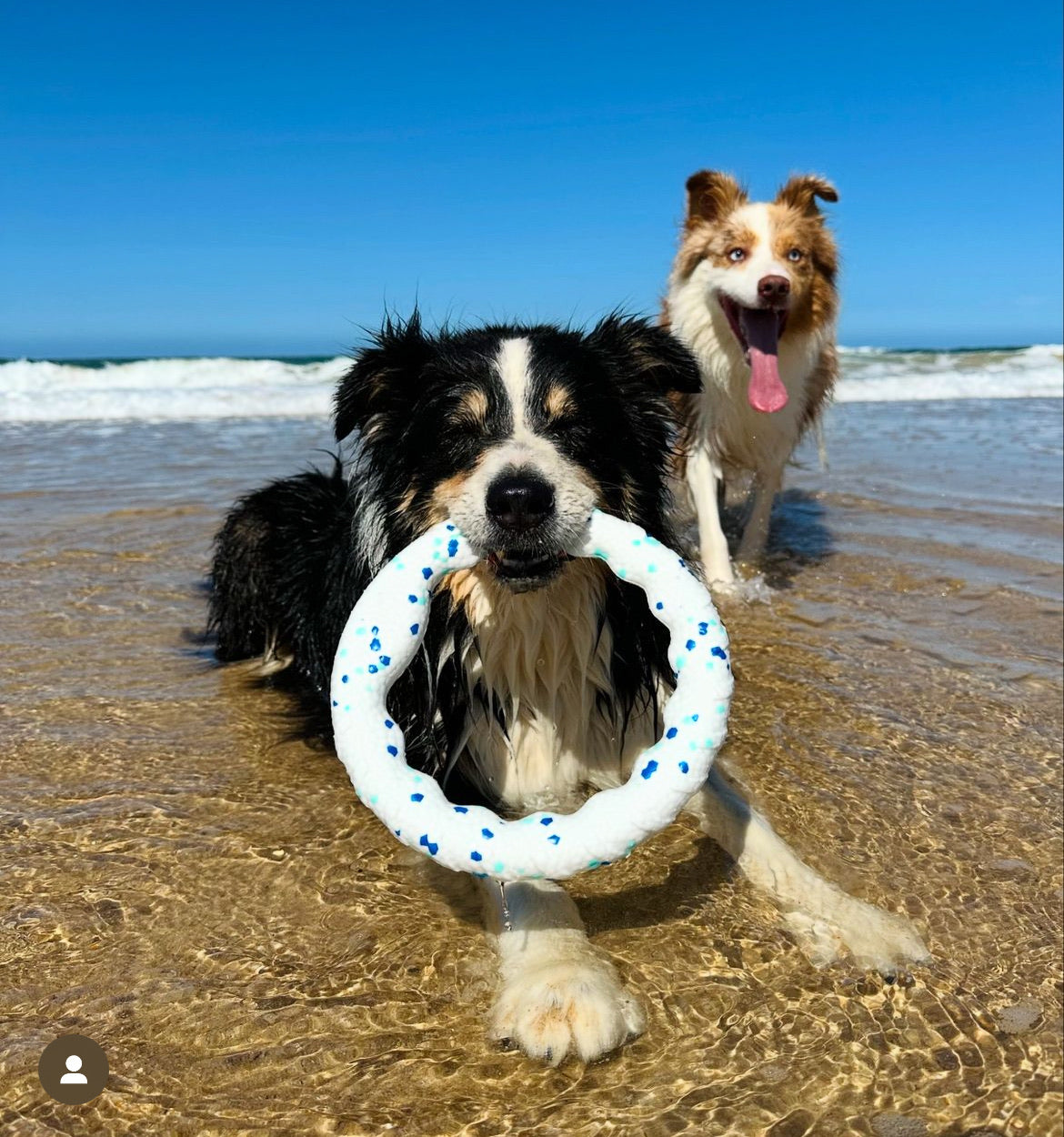 Fetch Bundle