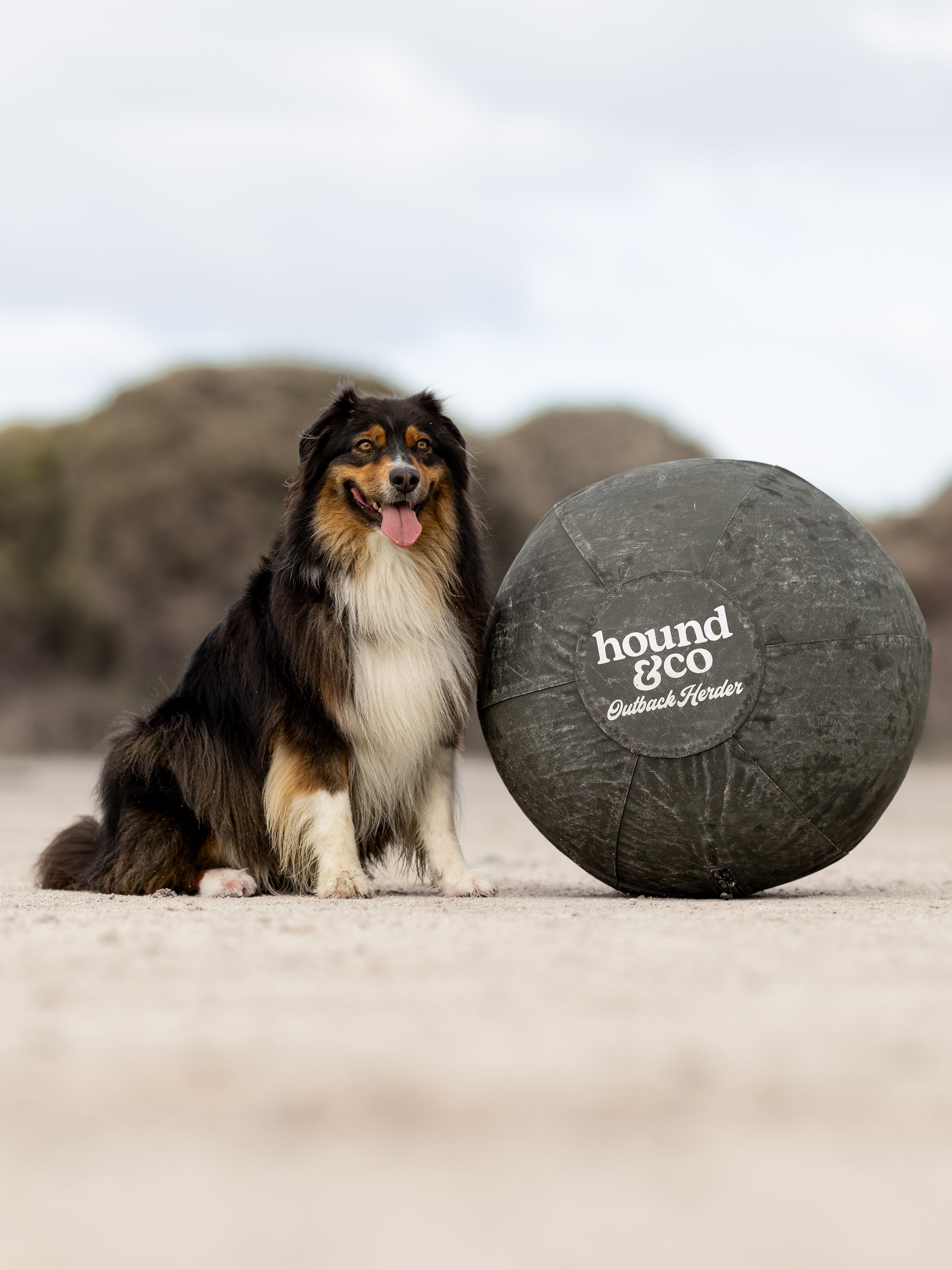 ARB The Best 　 POWER UP! HOUND DOG Outback Herder – Hound&Co