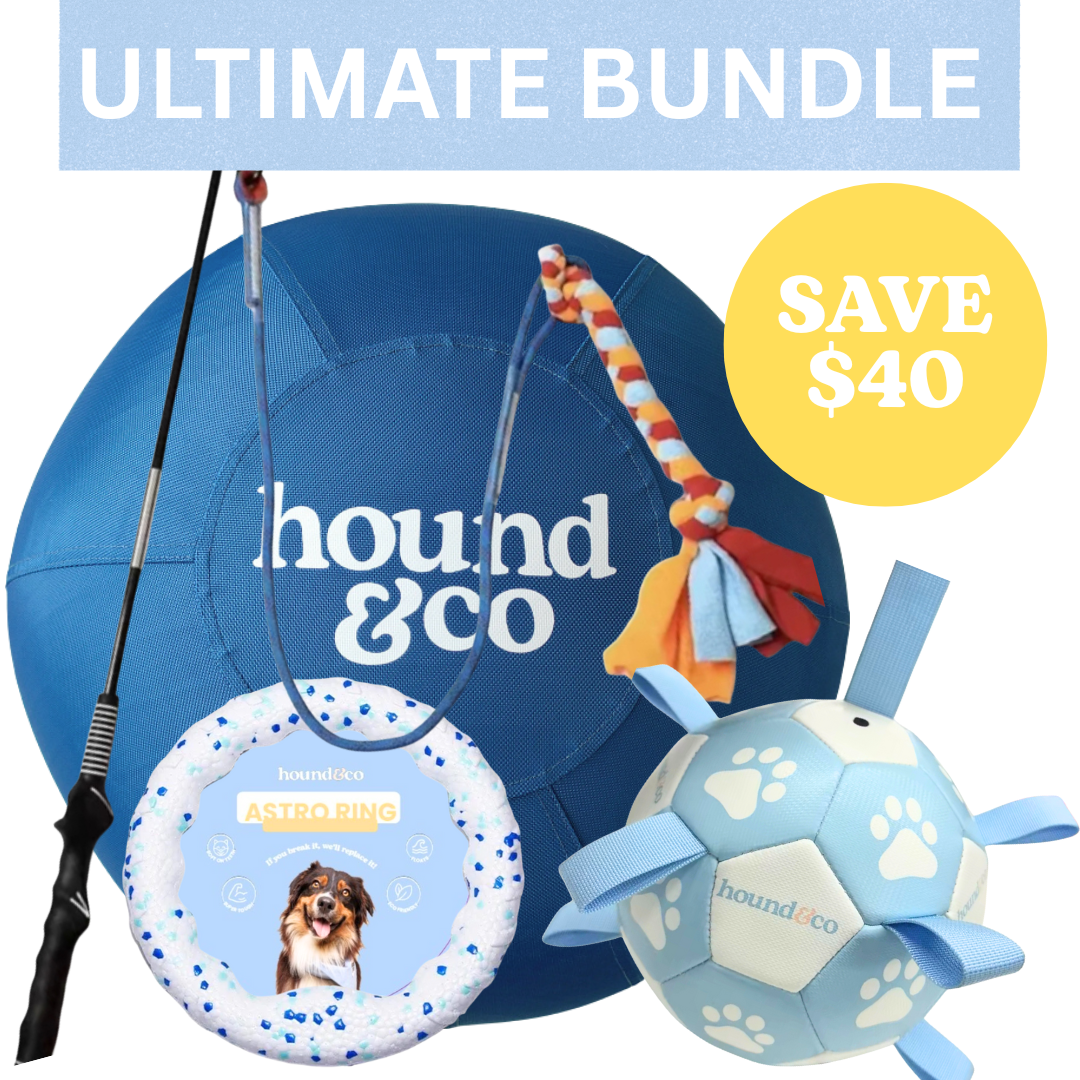 Ultimate Bundle