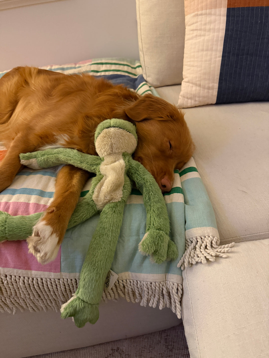 Frogman Rope Plush Toy