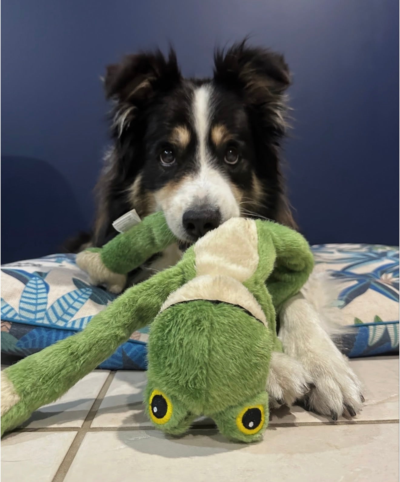 Playtime Bundle