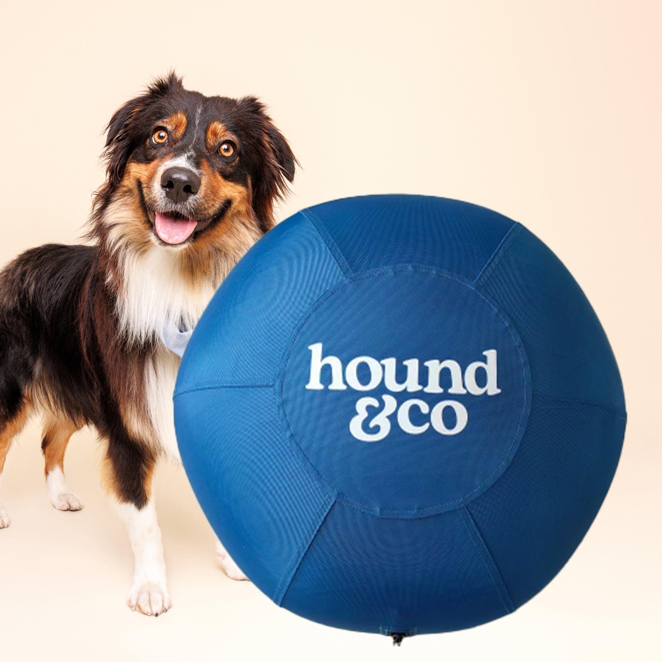 Herding Ball 55cm Large