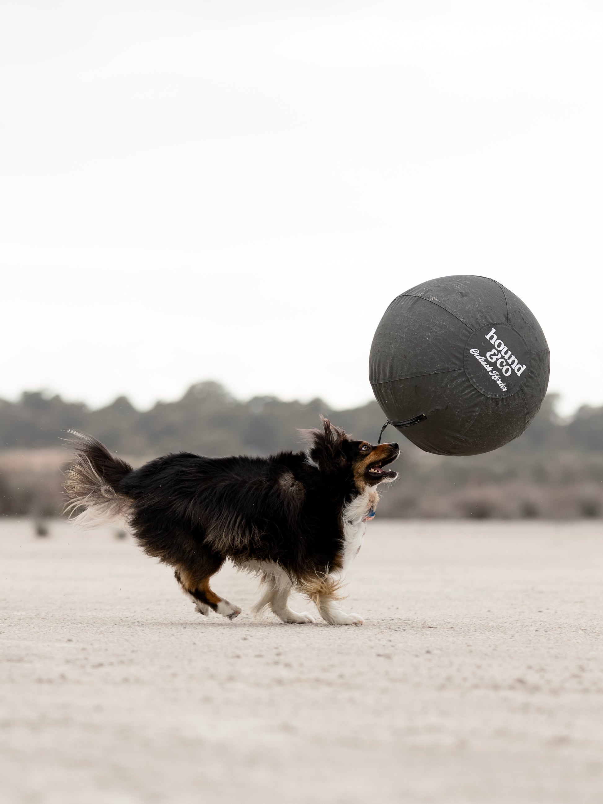 Outback Herder