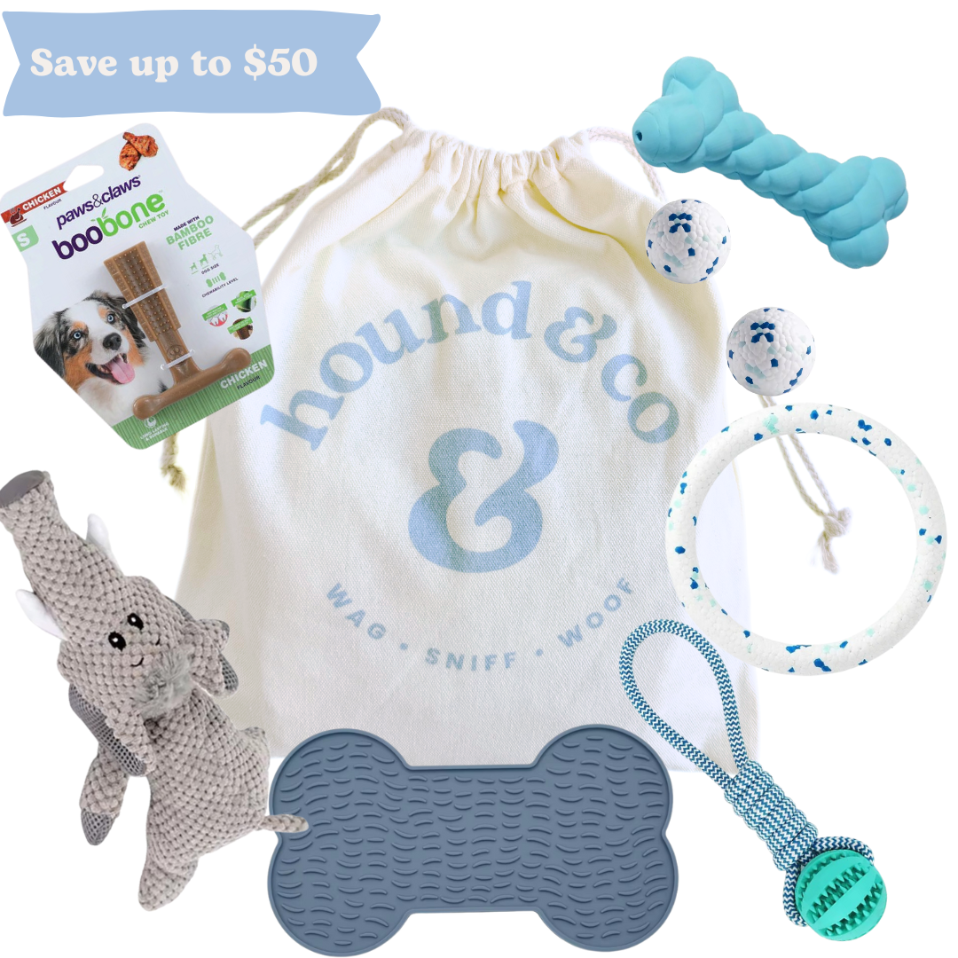 Gentle Chewer Bundle