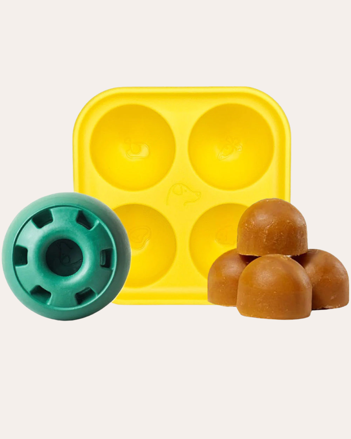 Pupsicle Frozen Treat Mould & Ball