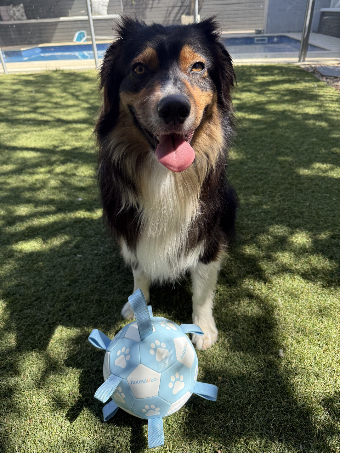 Grab Tag Soccer Ball