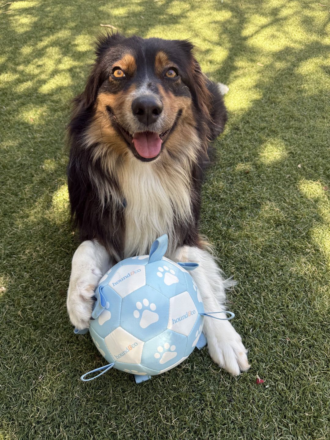 Grab Tag Soccer Ball