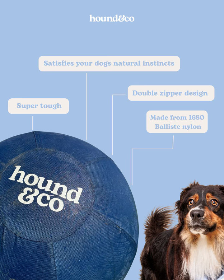 Herding Ball - (large pre order only - due 14th Feb)