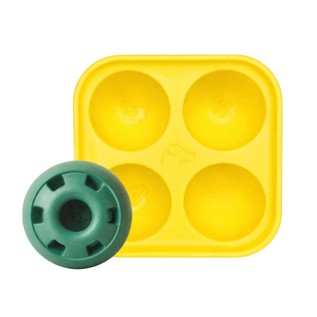 Pupsicle Frozen Treat Mould & Ball