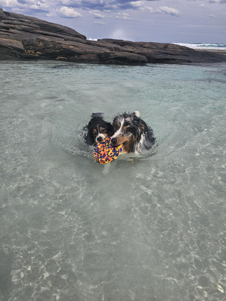 Beach Bundle