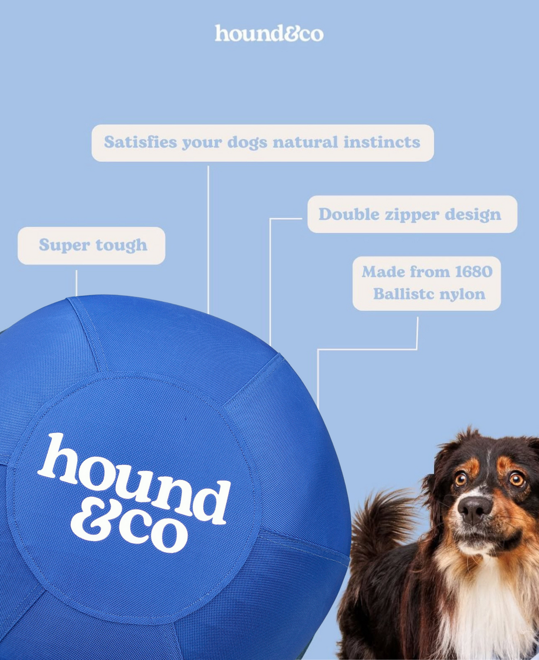 Herding Ball