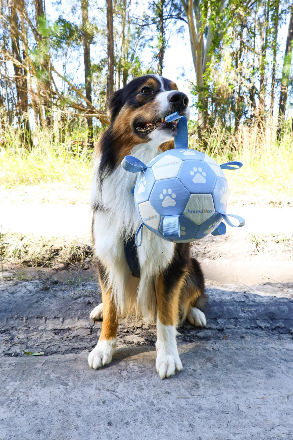 Grab Tab Soccer Ball
