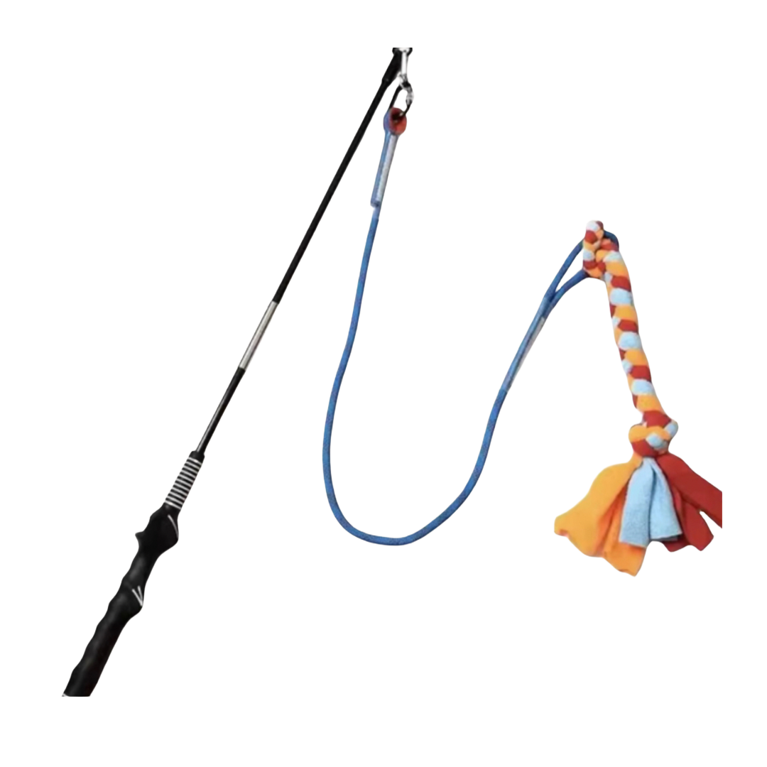 Dog Flirt Pole