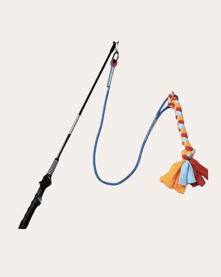 Dog Flirt Pole