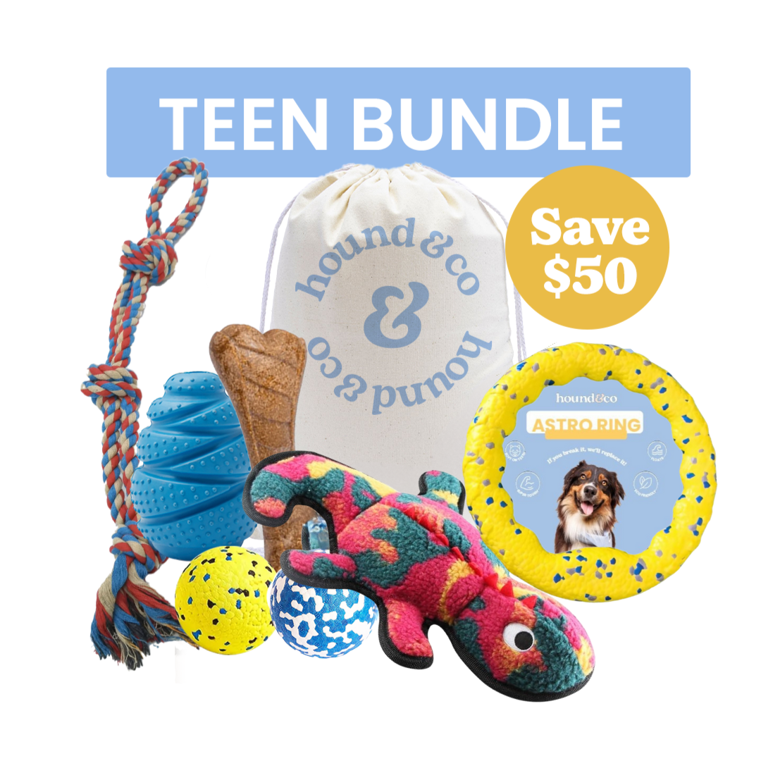 Teenage Dog Bundle