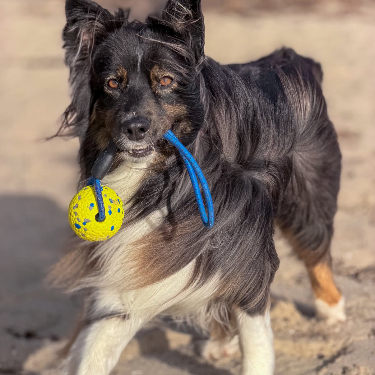 Astro Rope Ball