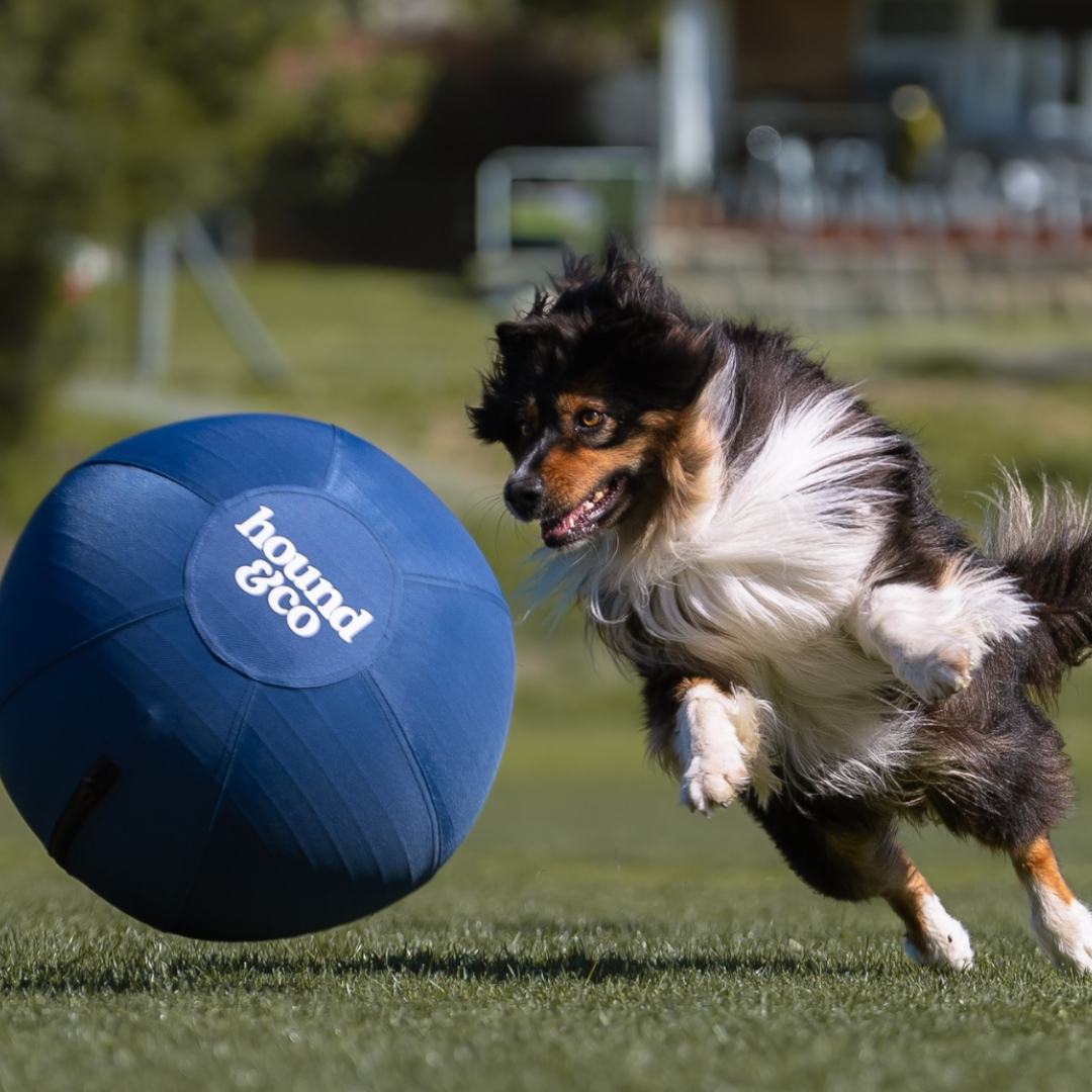 Herding Ball