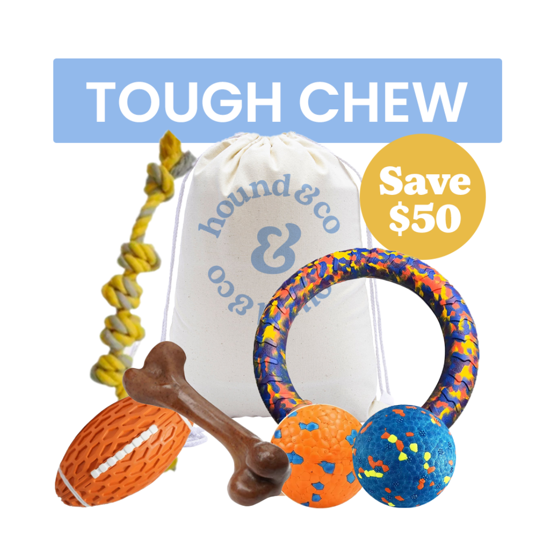 Tough Chewer Dog Bundle