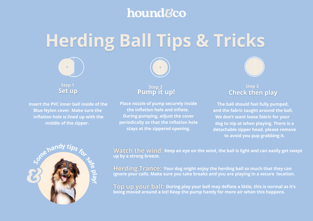 Herding Ball
