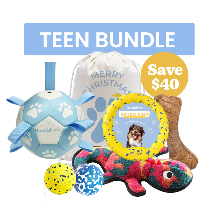 Teenage Bundle