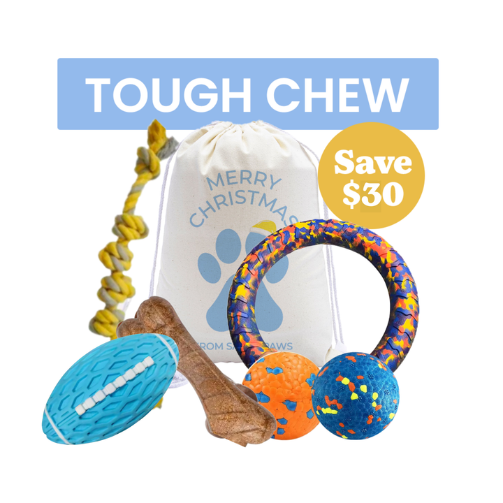 Tough Chewer Dog Bundle