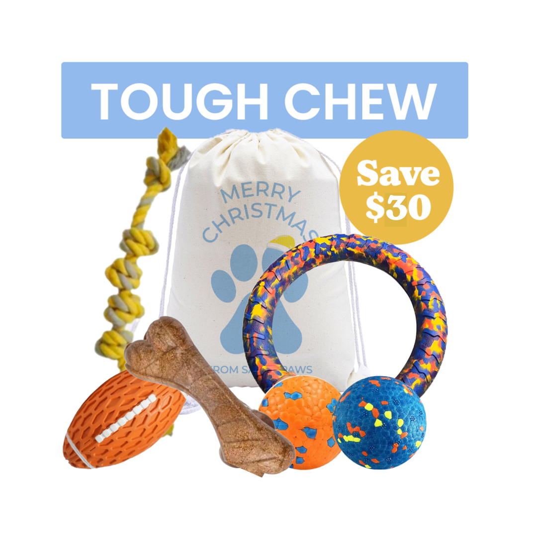 Tough Chewer Dog Bundle