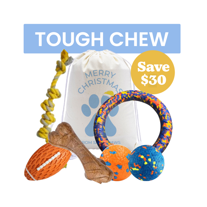 Tough Chewer Dog Bundle