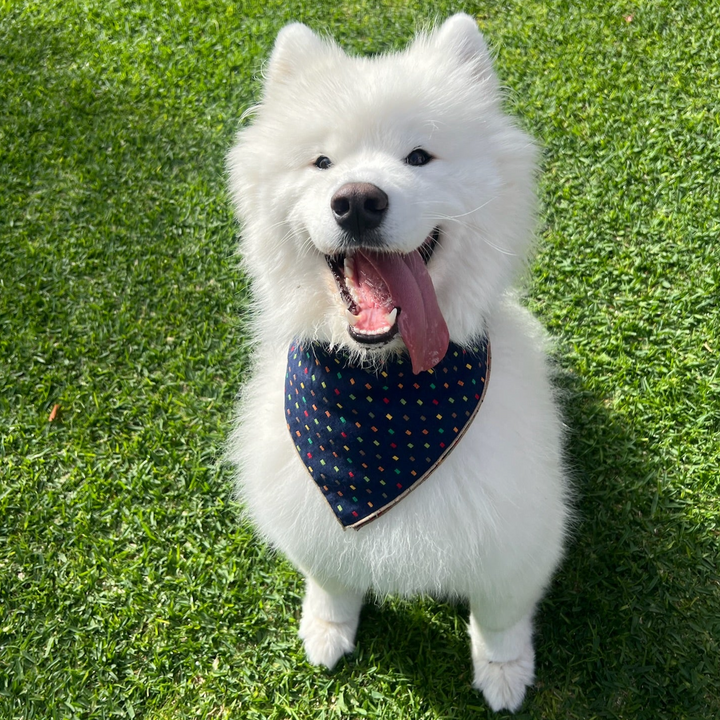 Bandana - Navy