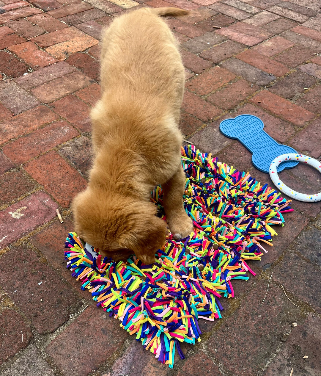 Snuffle Treat Mat