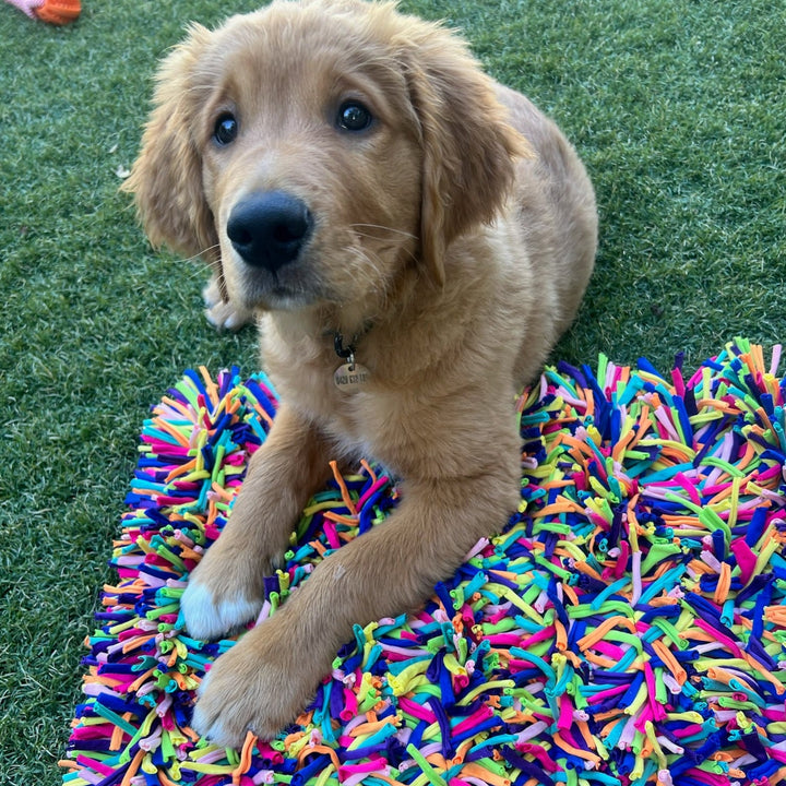 Snuffle Treat Mat