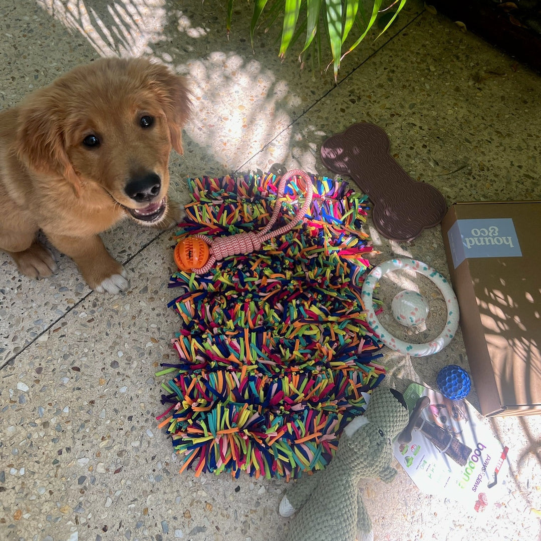 Snuffle Treat Mat