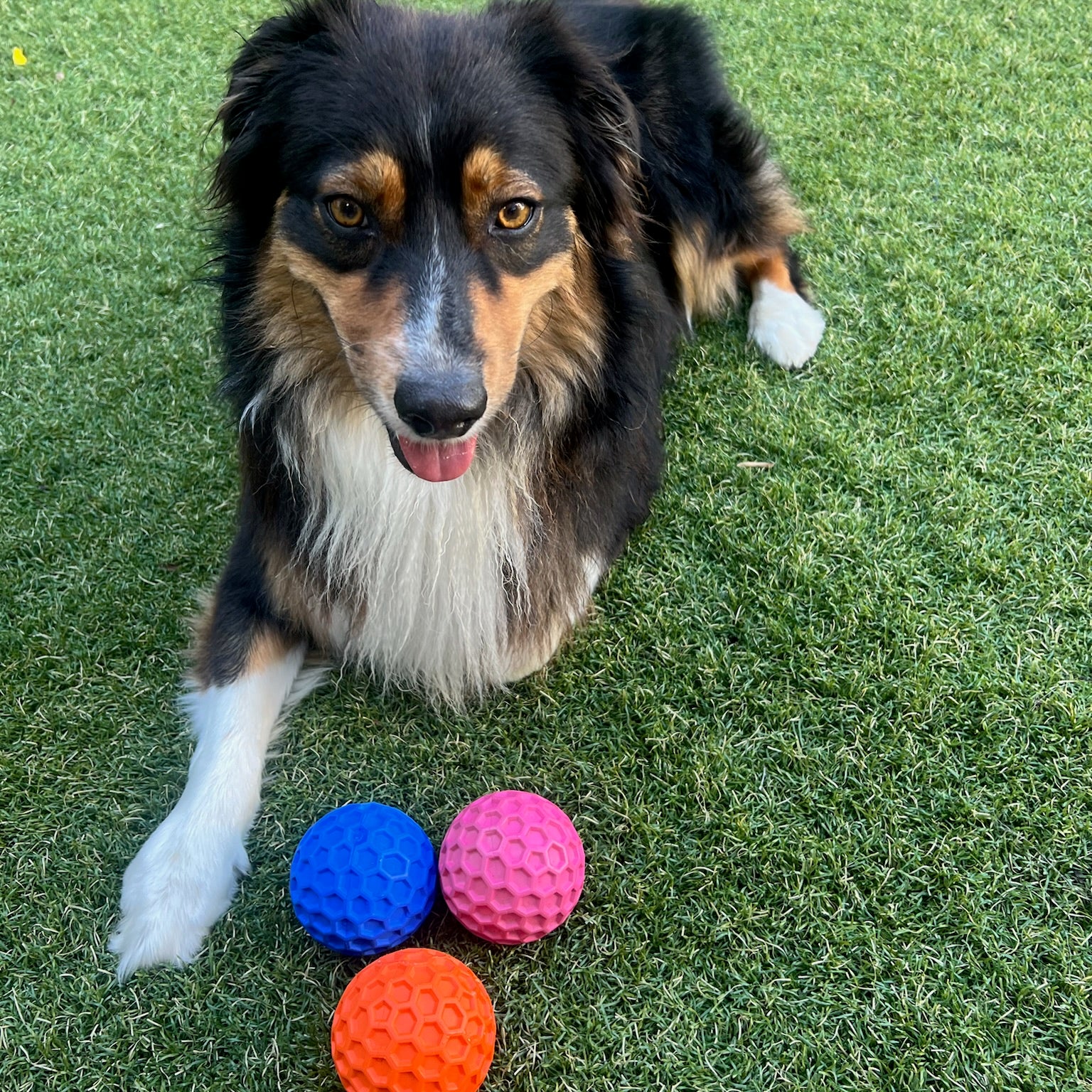 Honeycomb Squeaky Ball - Large