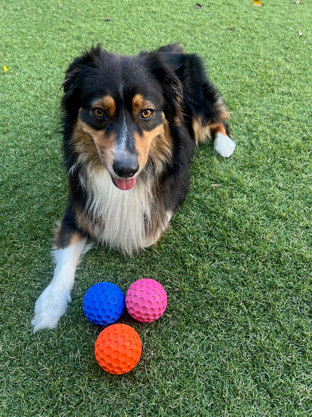 Honeycomb Squeaky Ball - Large