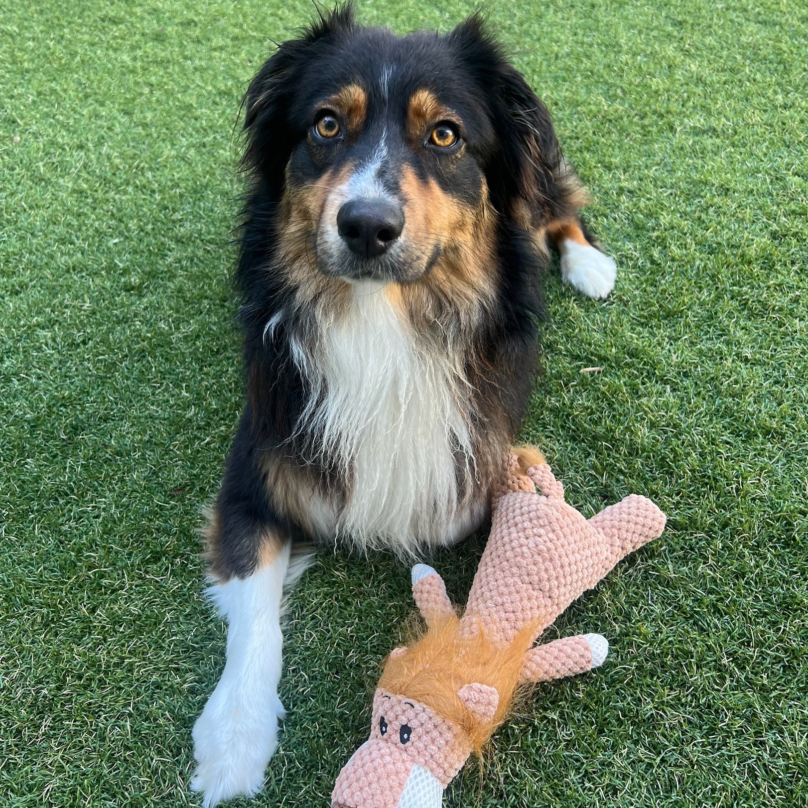 Lion Plush Toy