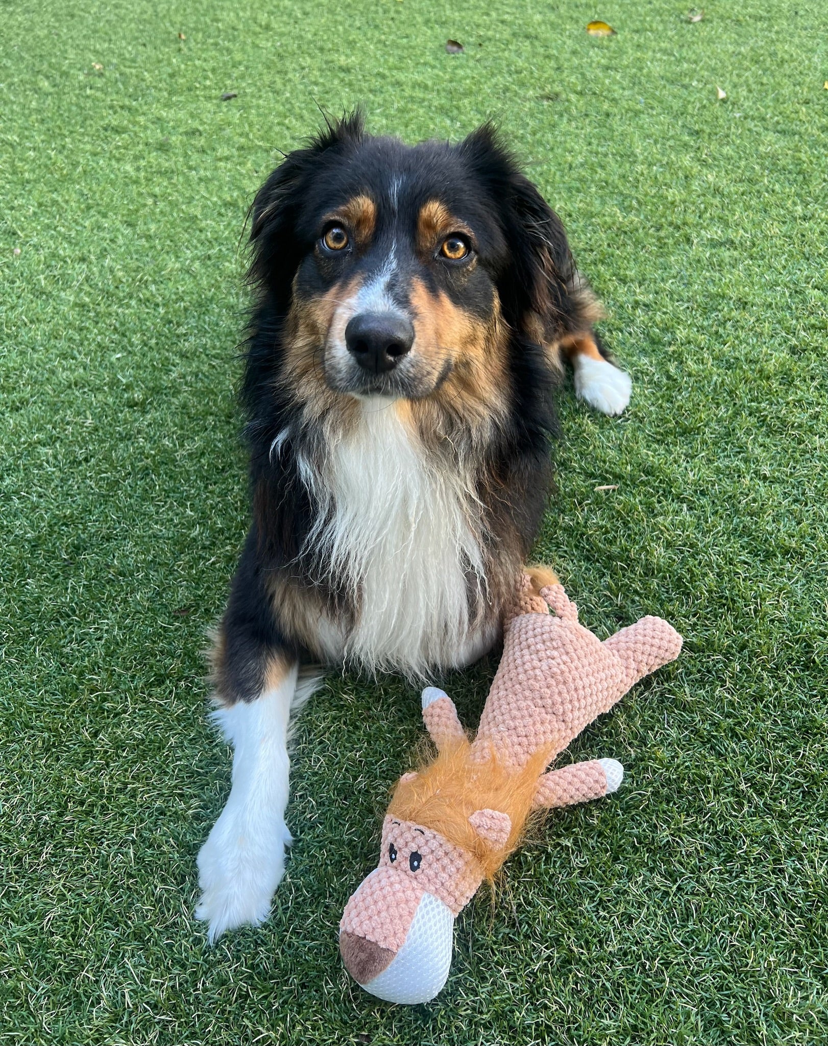 Lion Plush Toy