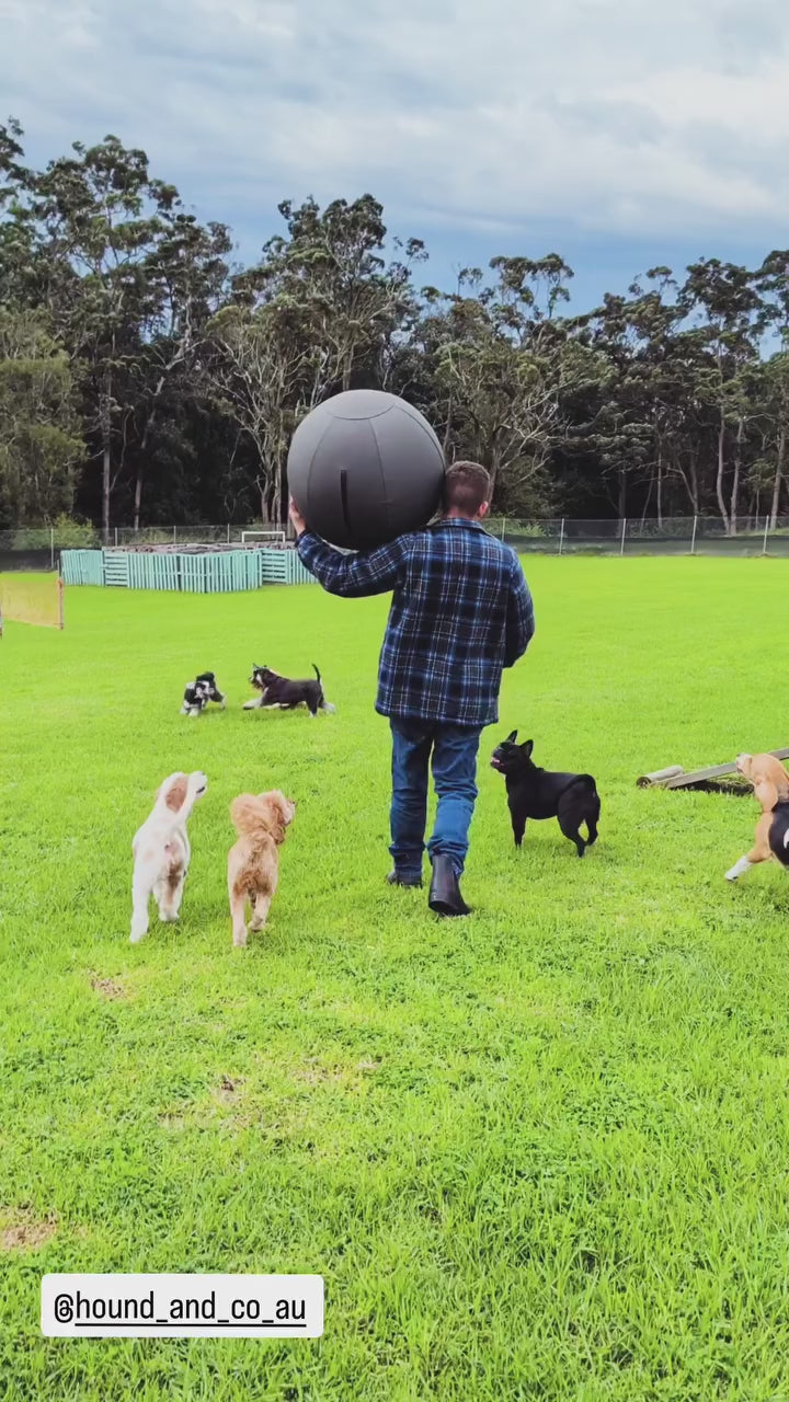 Outback Herder