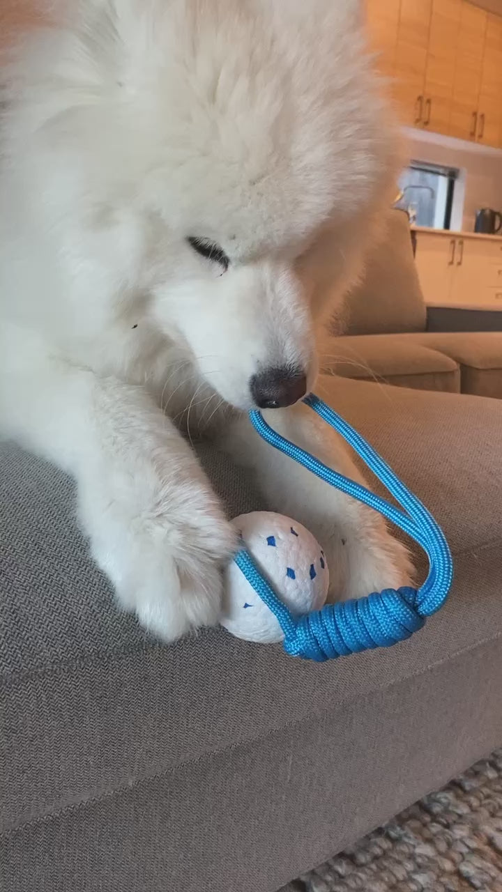 Astro Rope Ball